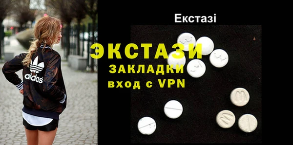 СК Новодвинск