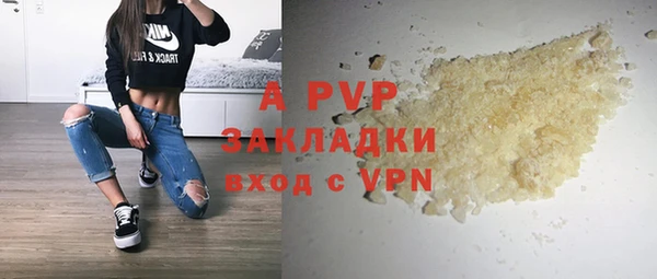 СК Новодвинск