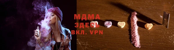 СК Новодвинск