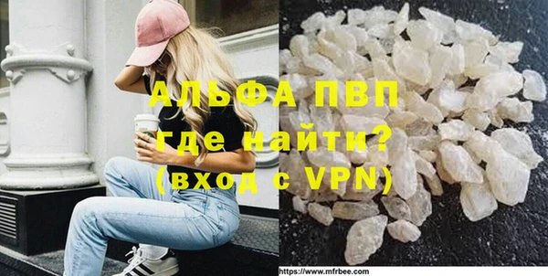 стафф Новокубанск