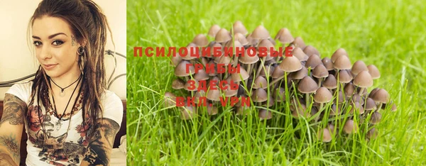 стафф Новокубанск
