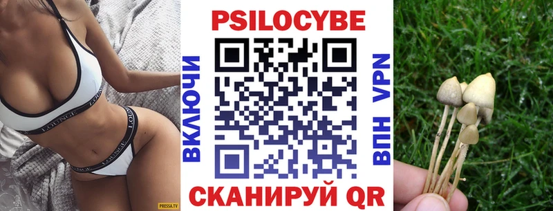 Псилоцибиновые грибы GOLDEN TEACHER  где найти наркотики  Мичуринск 