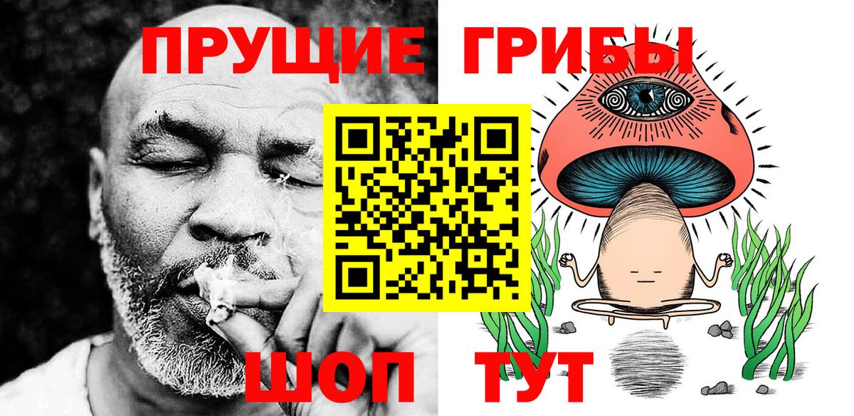 купить наркоту  Вход с VPN  Мичуринск  Галлюциногенные грибы Psilocybe 