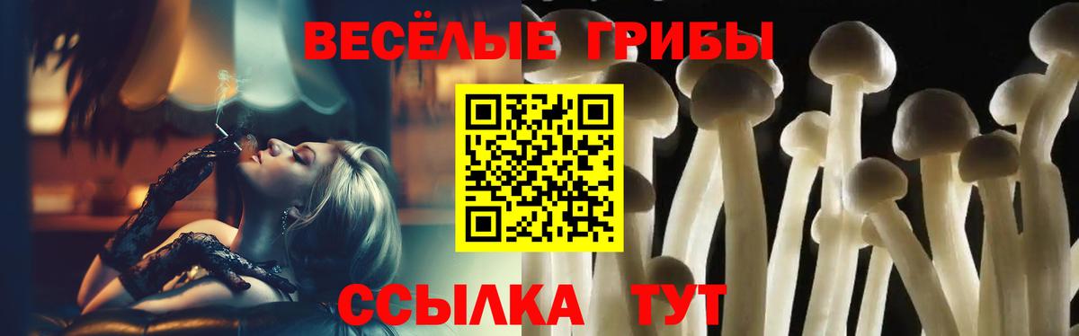 Псилоцибиновые грибы Psilocybine cubensis  Галлюциногенные грибы мицелий  Мичуринск 