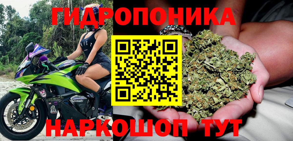 Бошки марихуана THC 21%  Конопля конопля  Мичуринск  Канабис марихуана 